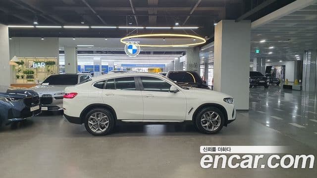 BMW X4 (G02) xDrive20i xLine, 2023 20