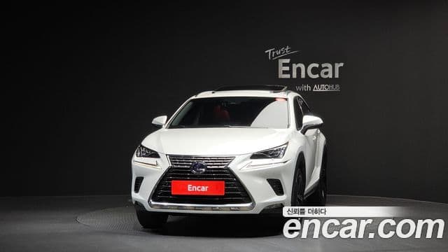 Lexus NX300h Executive, 2021 3
