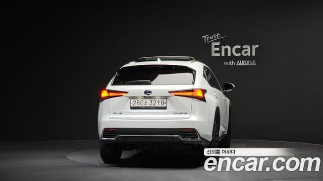 Lexus NX300h Executive, 2021 4