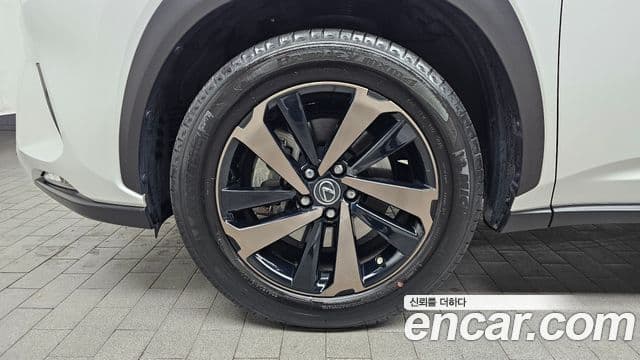 Lexus NX300h Executive, 2021 все фото