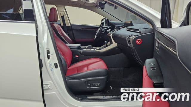 Lexus NX300h Executive, 2021 11