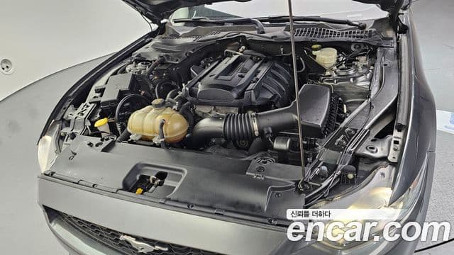 Ford Mustang кабриолет, 2016 6