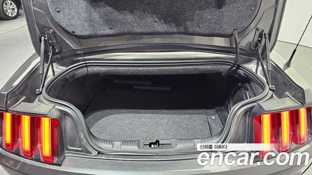 Ford Mustang кабриолет, 2016 20