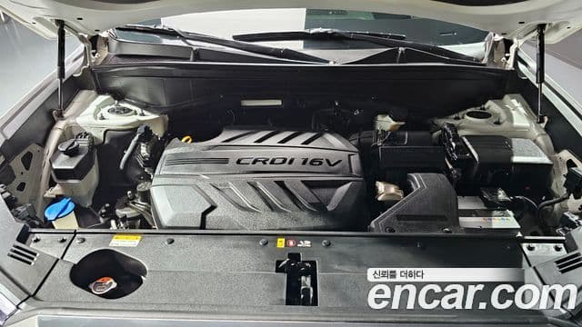 Hyundai Palisade Prestige, 2019 6