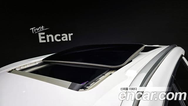 Hyundai Palisade Prestige, 2019 18