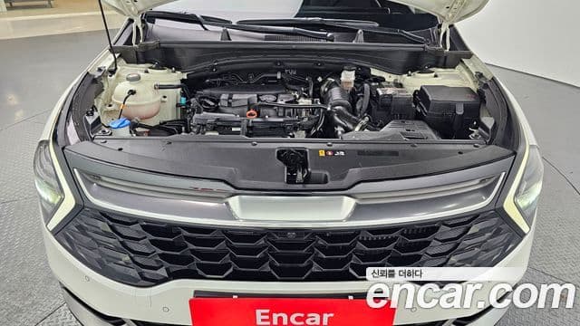 Kia Sportage 5세대 Signature, 2022 6