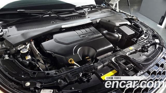 Land Rover Range Rover Evoque 2세대 P250 SE, 2021 6