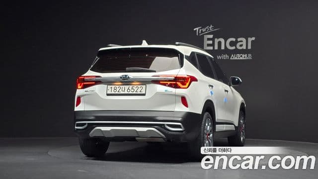Kia Seltos Noblesse, 2020 4
