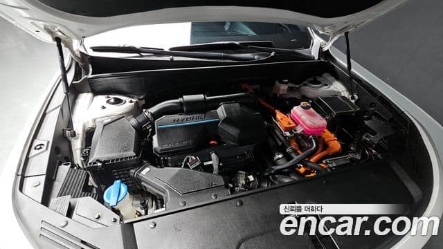 Kia Sorento 4세대 Prestige, 2022 6