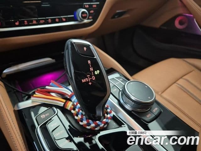 BMW 5시리즈 (G30) Luxury, 2020 10