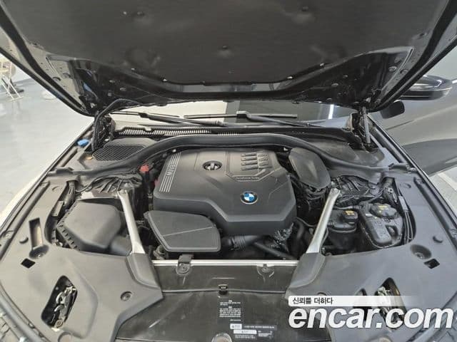 BMW 5시리즈 (G30) Luxury, 2020 13