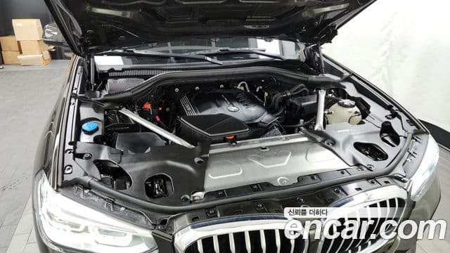 BMW X4 (G02) xDrive20d xLine, 2020 6