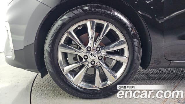 Kia The / новый New Carnival Special, 2019 все фото