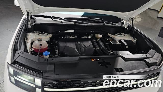 Hyundai Santa Fe (MX5) Calligraphy, 2024 6