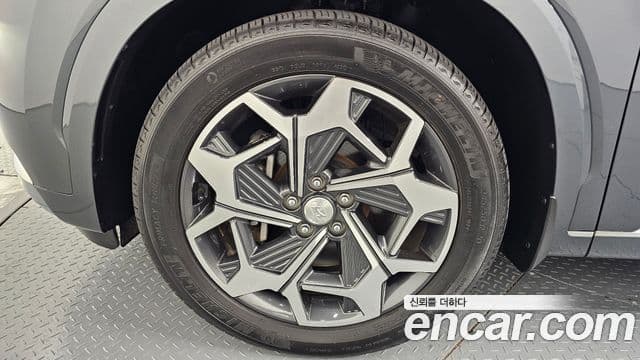 Hyundai Palisade Calligraphy, 2021 все фото