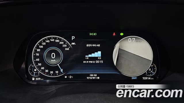 Hyundai Palisade VIP, 2021 8