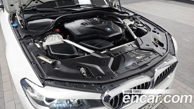 BMW 5시리즈 (G30) Luxury, 2020 6