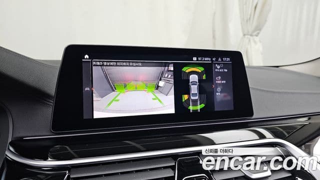 BMW 5시리즈 (G30) Luxury, 2020 15