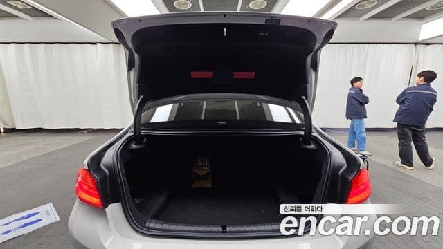 BMW 5시리즈 (G30) Luxury, 2020 20