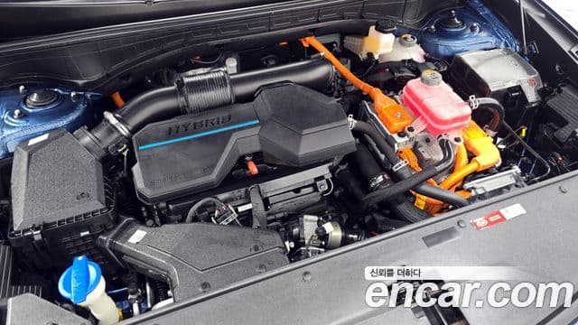 Kia Sorento 4세대 Gravity, 2021 6