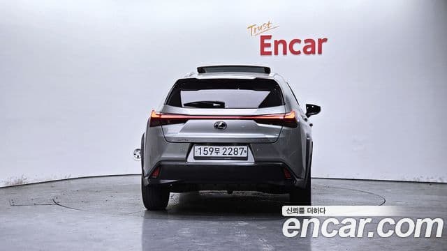 Lexus UX250h, 2020 4