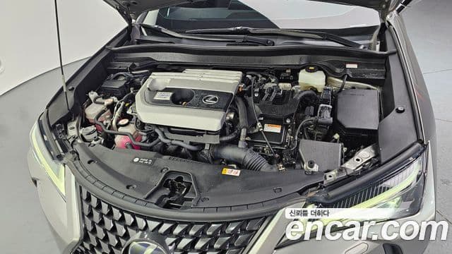 Lexus UX250h, 2020 6