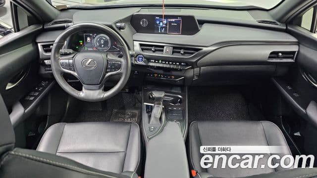 Lexus UX250h, 2020 7