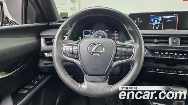 Lexus UX250h, 2020 13