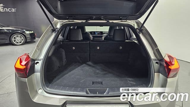 Lexus UX250h, 2020 20