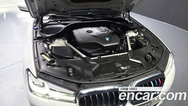 BMW 5시리즈 (G30) Luxury, 2021 6
