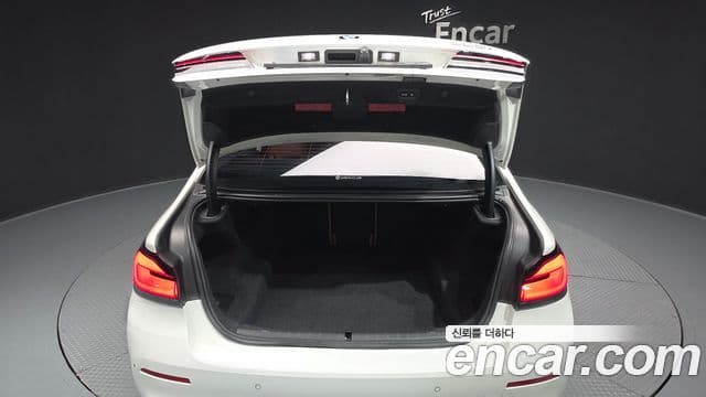 BMW 5시리즈 (G30) Luxury, 2021 20