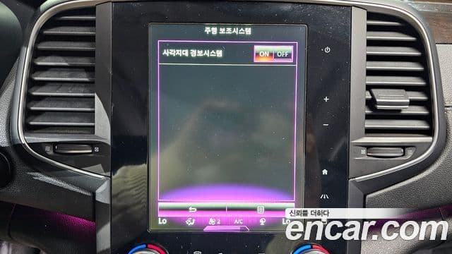 Renault Korea(Samsung) SM6 2.0 LPe RE (для людей с инвалидностью), 2016 16