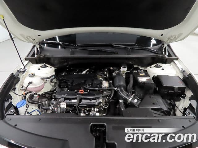 Kia Sportage 5세대 Noblesse, 2024 19