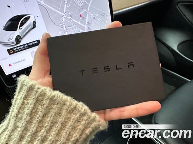 Tesla модель 3 Standard Range Plus RWD, 2020 13