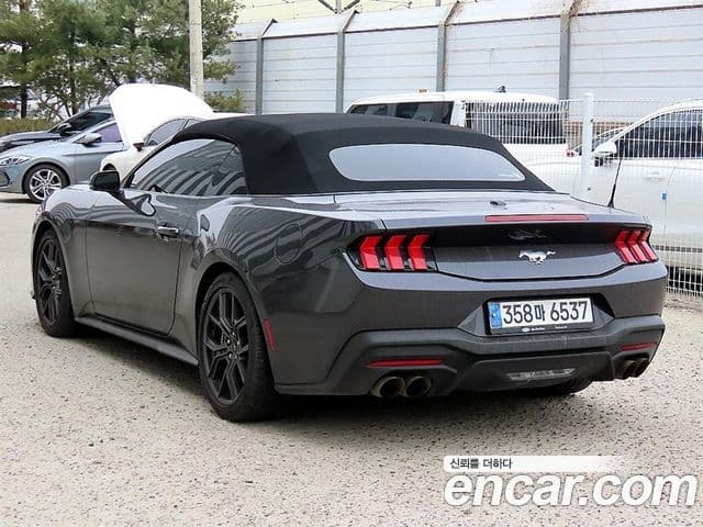Ford Mustang 7세대 2.3 EcoBoost Premium кабриолет, 2024 3