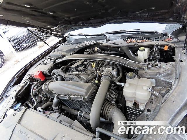 Ford Mustang 7세대 2.3 EcoBoost Premium кабриолет, 2024 19