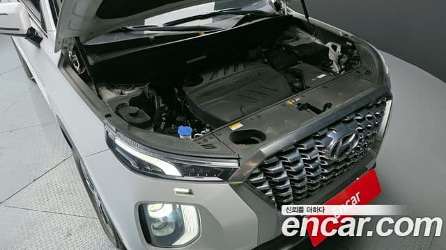 Hyundai Palisade Exclusive, 2019 6