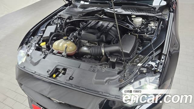 Ford Mustang купе, 2019 6