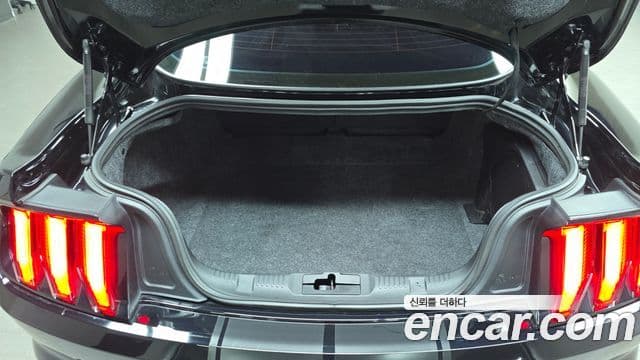 Ford Mustang купе, 2019 20