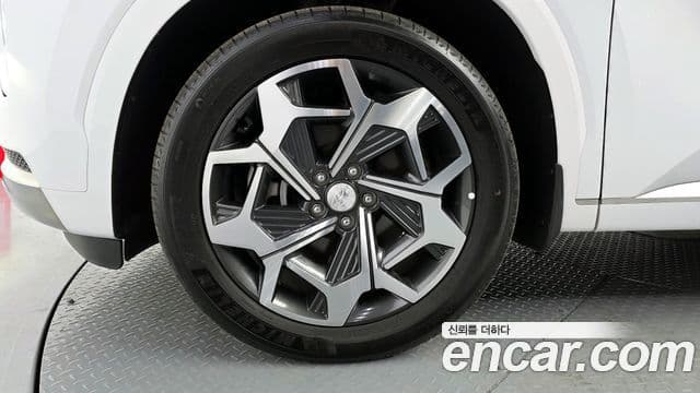 Hyundai Palisade Calligraphy, 2022 все фото