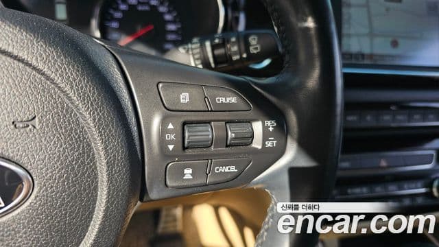 Kia The / новый New Carnival Special, 2019 16