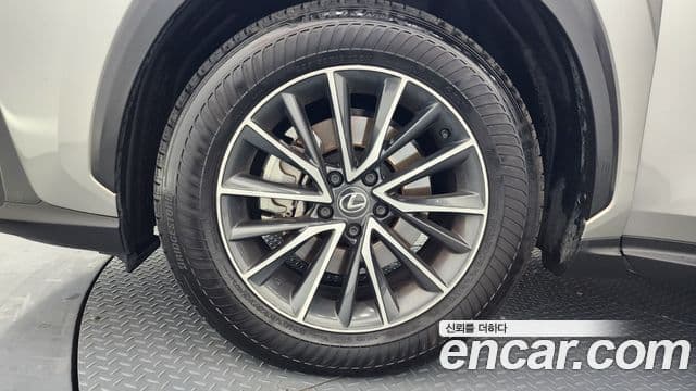 Lexus NX450h+ 2세대 Premium, 2024 все фото