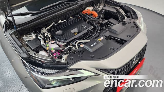Lexus NX450h+ 2세대 Premium, 2024 6