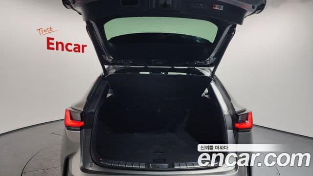 Lexus NX450h+ 2세대 Premium, 2024 20