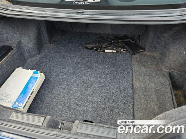 Chevrolet(GM대우) 아카디아 LX, 1994 20