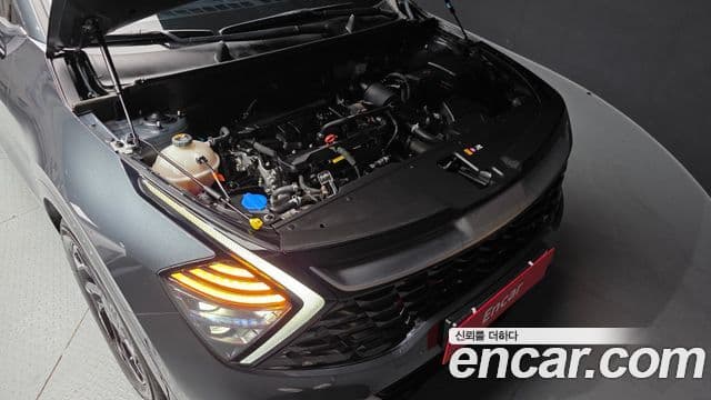 Kia Sportage 5세대 Signature, 2024 6