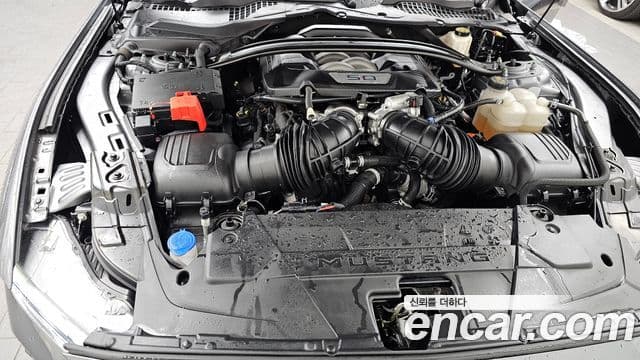 Ford Mustang 7세대 5.0 GT Premium кабриолет, 2024 6