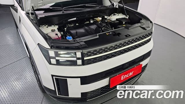 Hyundai Santa Fe (MX5) Calligraphy, 2024 6