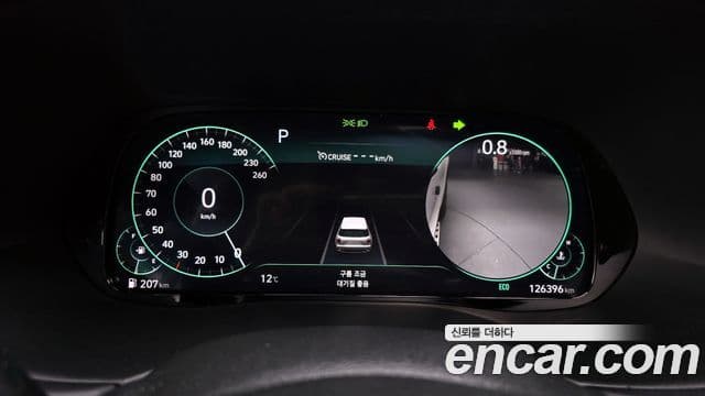 Hyundai Palisade Prestige, 2021 8