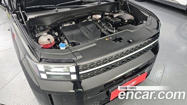 Hyundai Santa Fe (MX5) Calligraphy, 2024 6